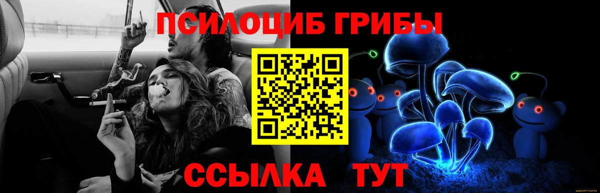 Лосино-Петровский  Галлюциногенные грибы мухоморы  Вход с VPN  Галлюциногенные грибы Psilocybine cubensis 